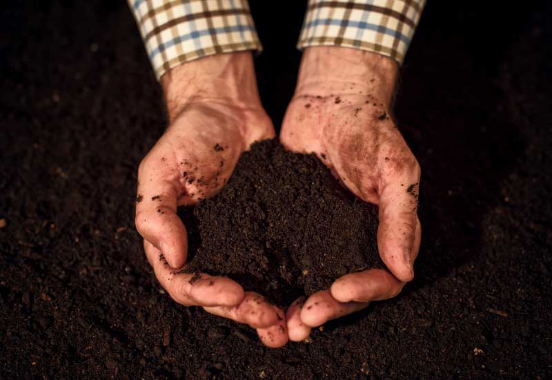 Vendita concimi e piantine | Non Solo Farina