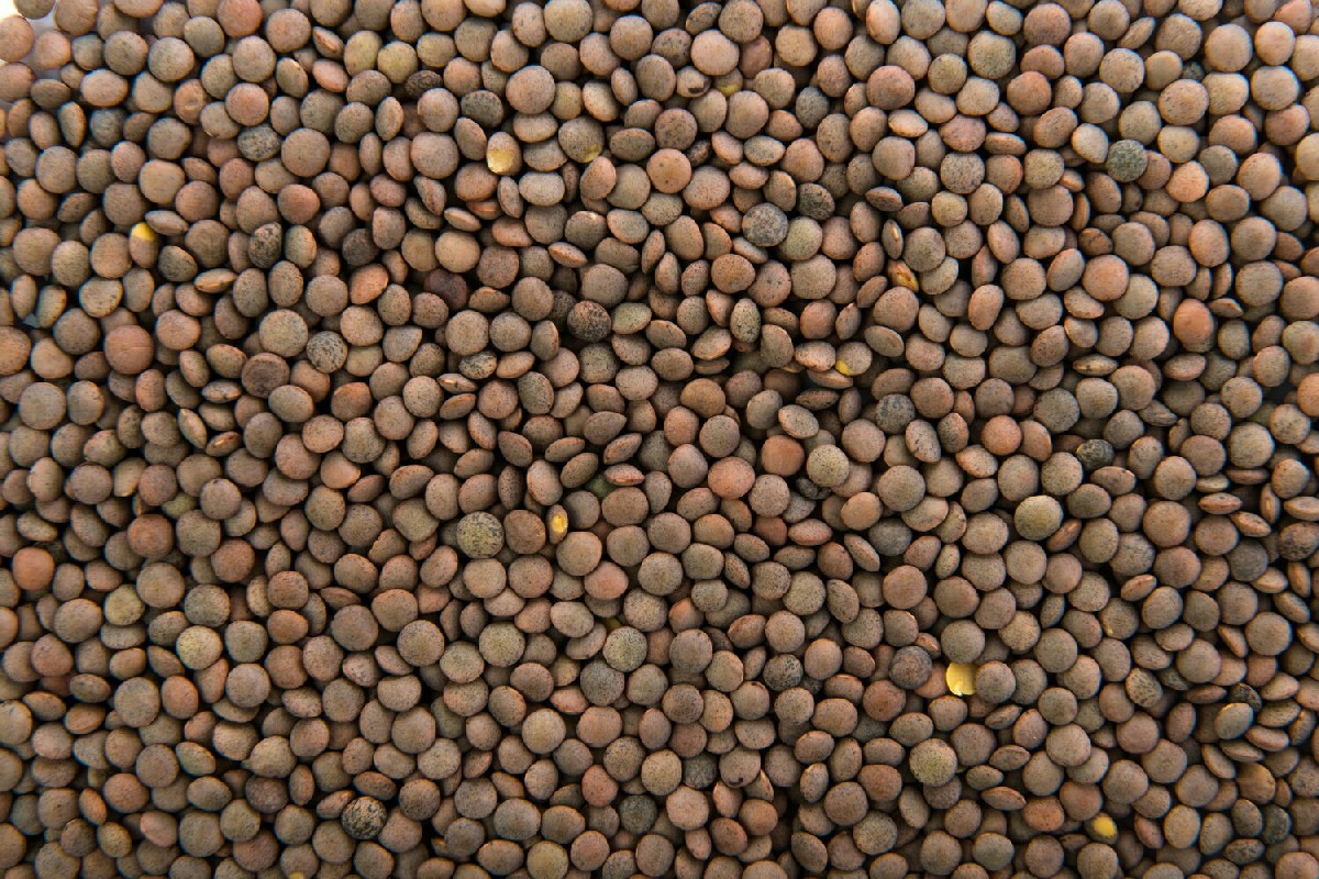 Lenticchie in scatola: consigli per scegliere le migliori e valorizzarle in cucina facilmente