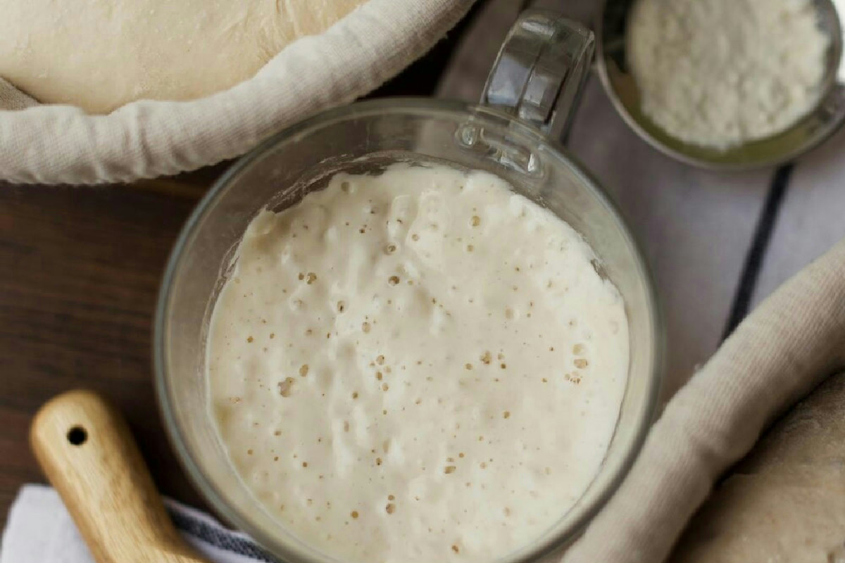 Quando la tradizione incontra l’arte: la preparazione del lievito madre con impasti naturali perfetti