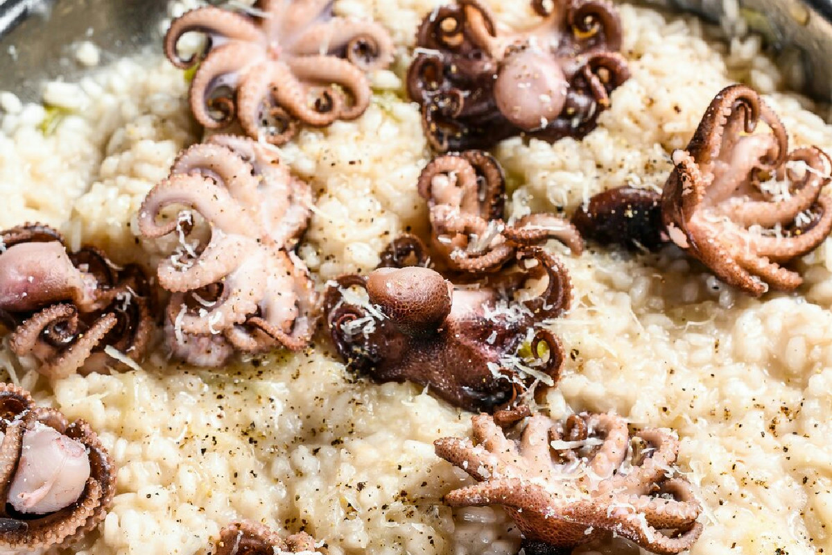 Il segreto di un risotto al polpo cremoso ricco di sapori mediterranei autentici e irresistibili